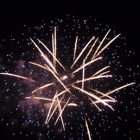 酒店 Eraclea Palace 4 Stelle S