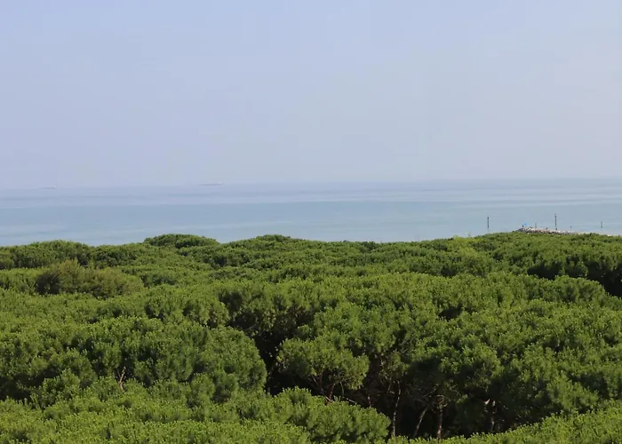 Eraclea Palace 4 Stelle S Eraclea Mare